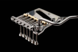Vega-Trem / VT2 Teletrem CLASSIC with VT LOGO ARM ƥ쥭㥹ѥߥ󥰥֥å Ԥ󤻾/ǼӰ