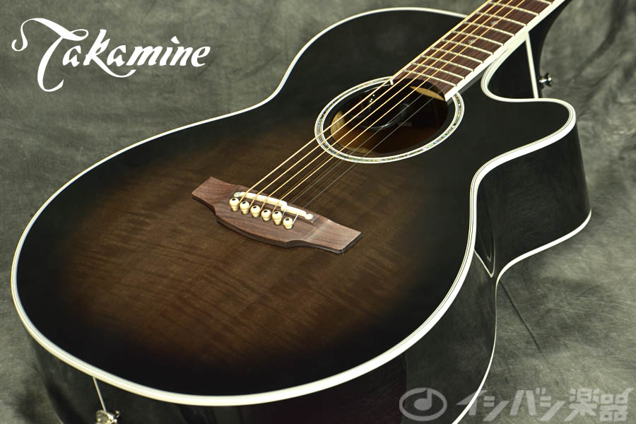 【エレアコ】Takamine [純正ハードケース付]