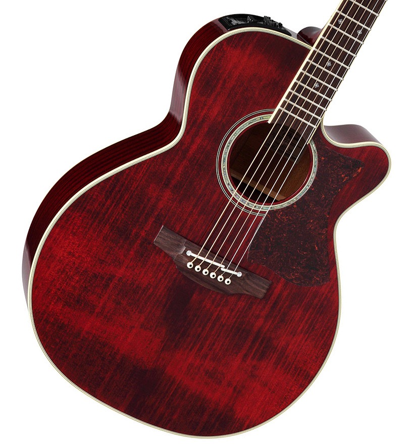 【本日のみ¥15,000offセール・極美品】Takamine エレアコ セット