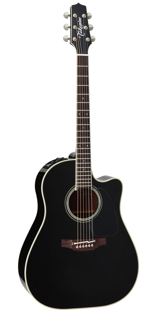 takamine アコースティックギター ケース付き