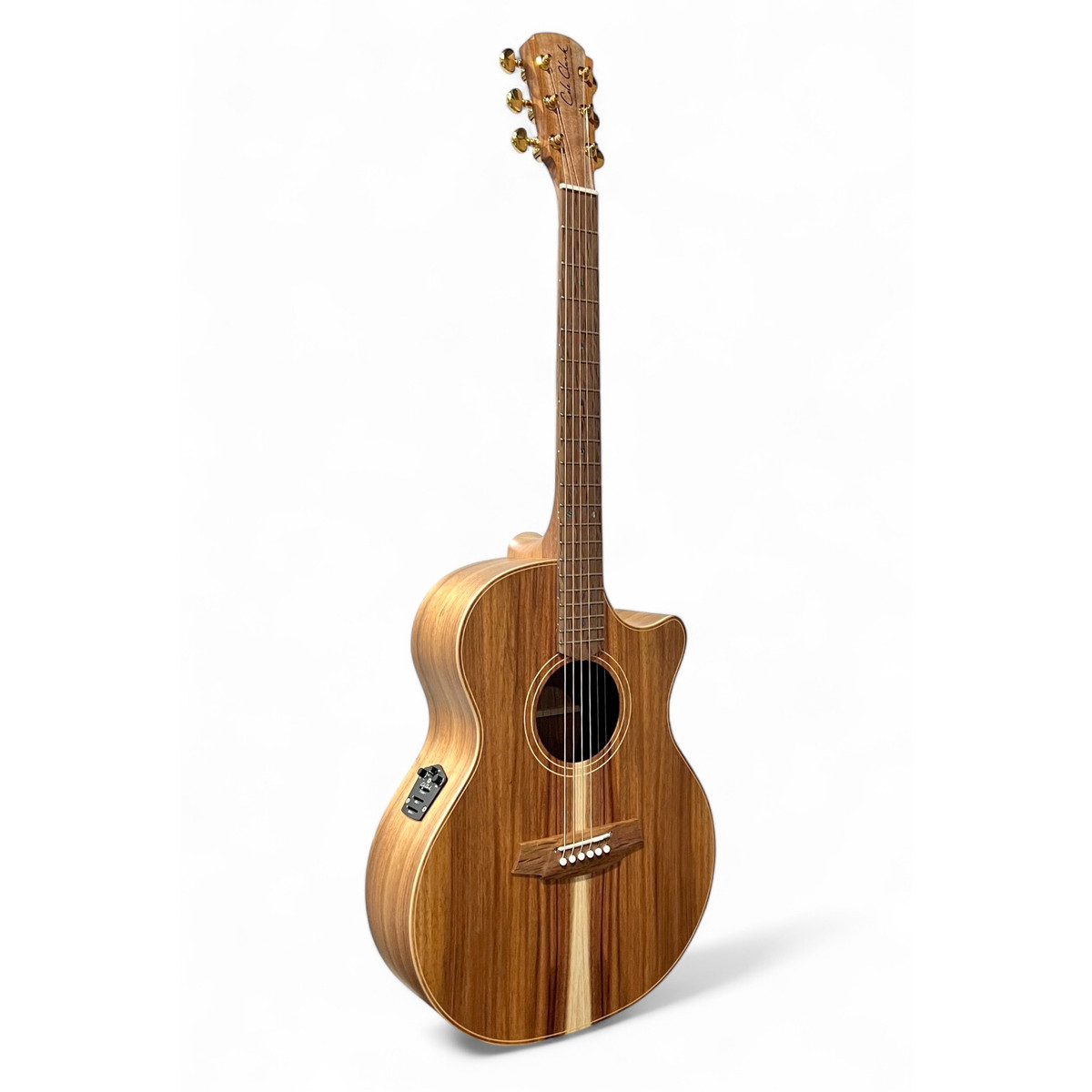 Cole Clark / Touring Series CCAN2EC-BLBL 2 Grade All