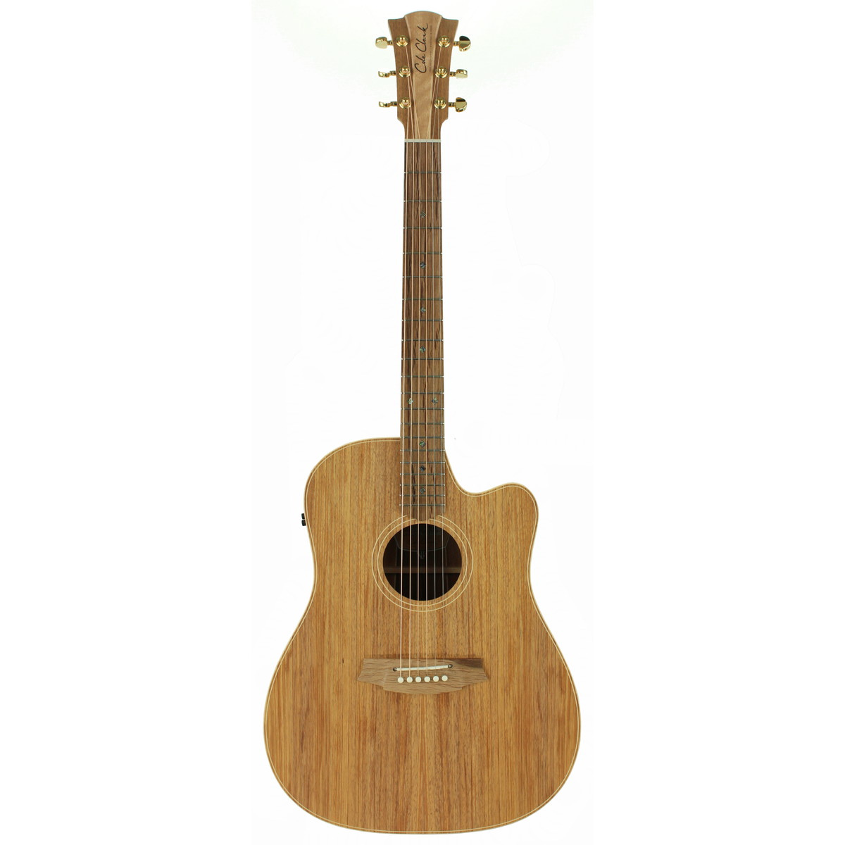Cole Clark / Touring Series CCFL2EC-BLBL 2 Grade All