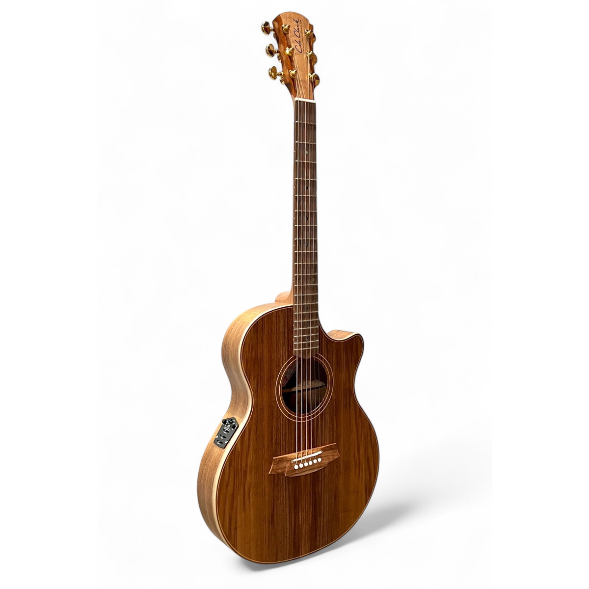 Cole Clark / Touring Series CCTL2EC-BLBL 2 Grade All