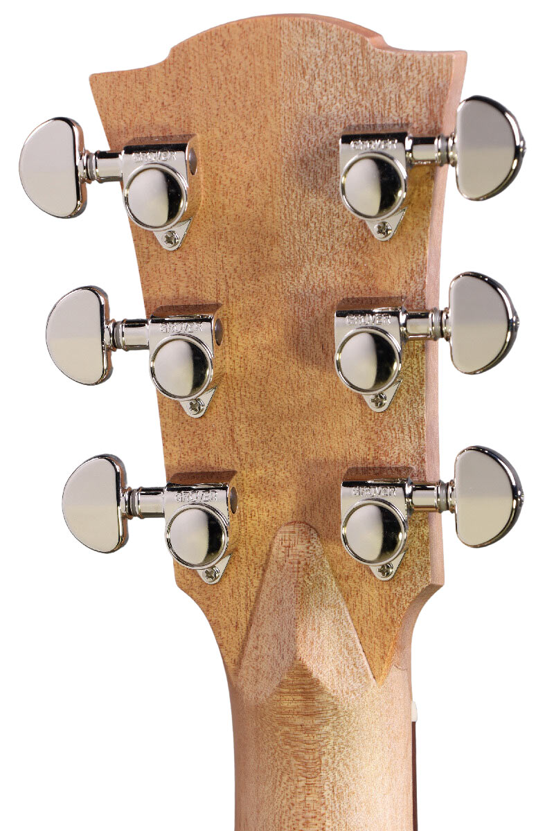 Cole Clark / FL Dreadnought Series CCFL2EC-BMR-ANVSY Bunya