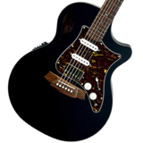 Cole Clark / True Hybrid Series CCTL2EC-BLBL-HSS Black Satin Blackwood top back and sides