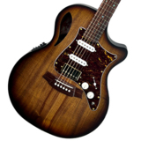 Cole Clark / True Hybrid Series CCTL2EC-BLBL-HSS Sunburst Satin Blackwood top back and sides