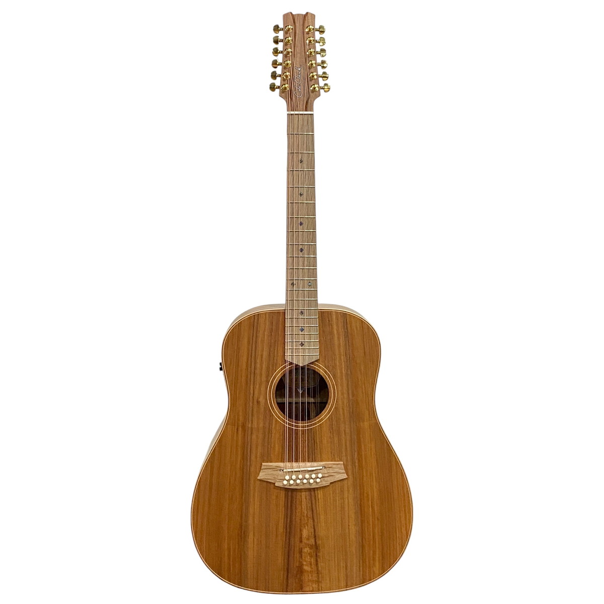 Cole Clark / FL Dreadnought Series CCFL2E-12-BLBL 2 Grade