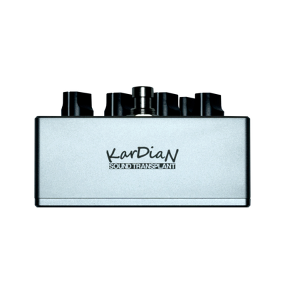 ギター KarDiaN Titania Leda Signature Edition discontinued] titania Leda Signature Edition – KarDiaN