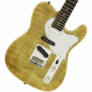 ARIA / テレキャスタータイプ / エレキギター】一覧 | イシバシ楽器
