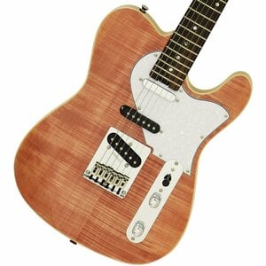 総合福袋 / テレキャスタータイプ / ARIA エレキギター】一覧 イシバシ楽器 | ギター