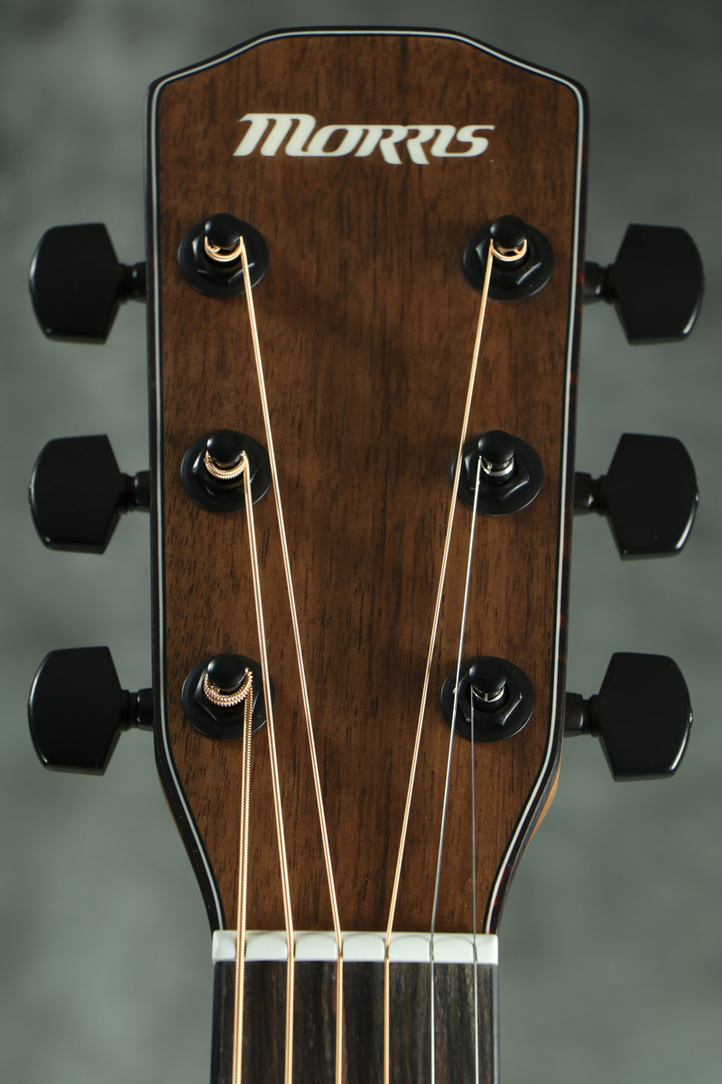 Morris / S-031E NAT(ナチュラル) 【PERFORMERS EDITION