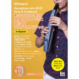 Roland / &ɥ֥å Aerophone AE-01 AE-SG04 §