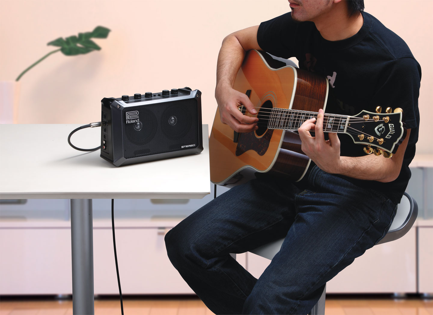 Roland / MOBILE CUBE Battery-Powered Stereo Amplifier MB
