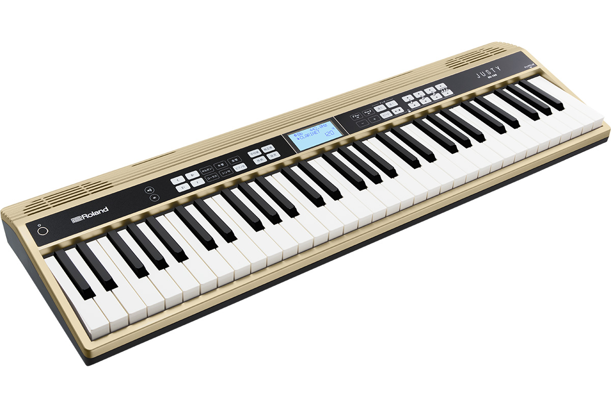 Roland ローランド / JUSTY HK-100 ハーモニー&リズム練習用キーボード