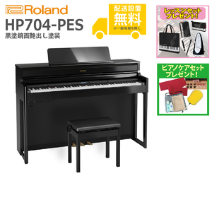 ROLAND / HP704-PES (黒塗鏡面艶出し塗装)
