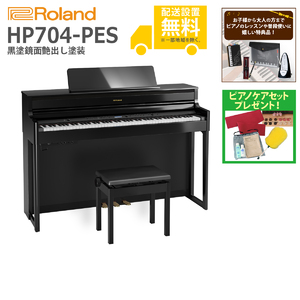 ROLAND / HP704-PES (黒塗鏡面艶出し塗装)