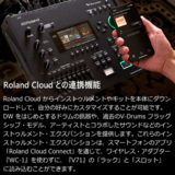 /ec/pic/product/4957054520045/4957054520045_10_s.jpg