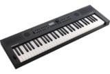 Roland  / GOKEYS5-GT (GO:KEYS 5) ե Digital Keyboard