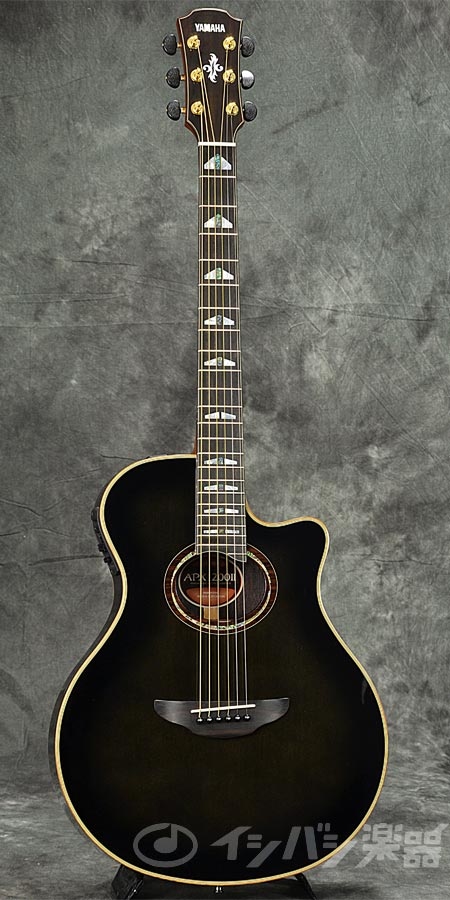 YAMAHA / APX1200 II Translucent Black (TBL) ヤマハ エレアコ