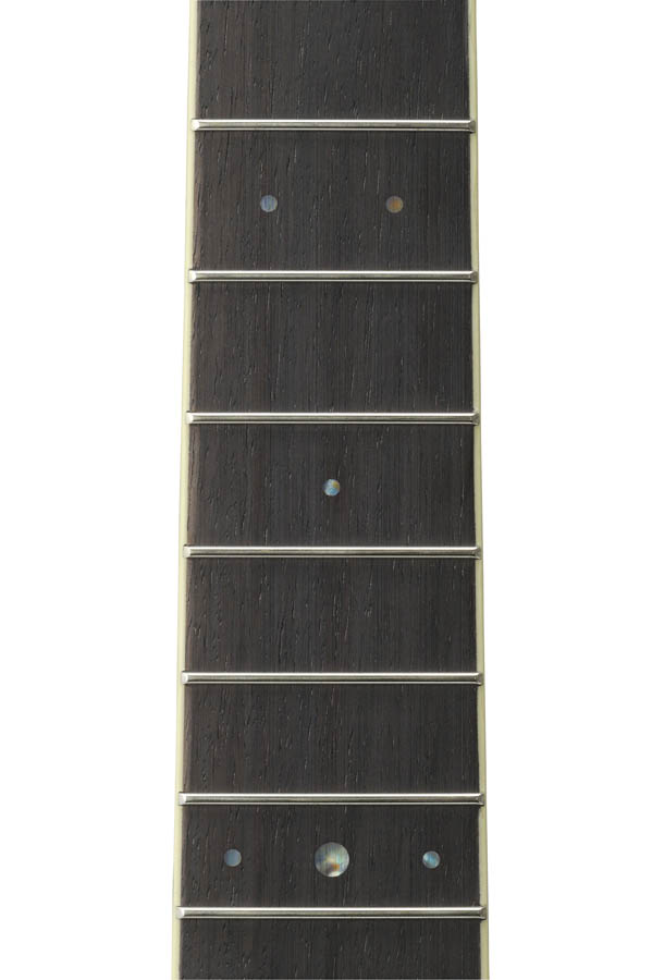 yamaha ls6 are 専用ケース付き YAMAHA / LS6 ARE Natural (NT) 【専用ケースつき】 ヤマハ