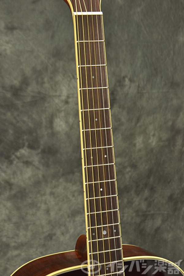 YAMAHA / LS6 ARE Brown Sunburst (BS) ヤマハ アコースティック