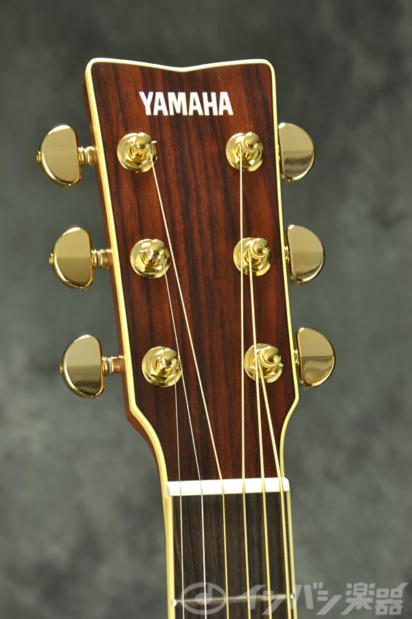 YAMAHA / LL16L ARE Natural (NT) Left Handed (Lefty) 【左利き