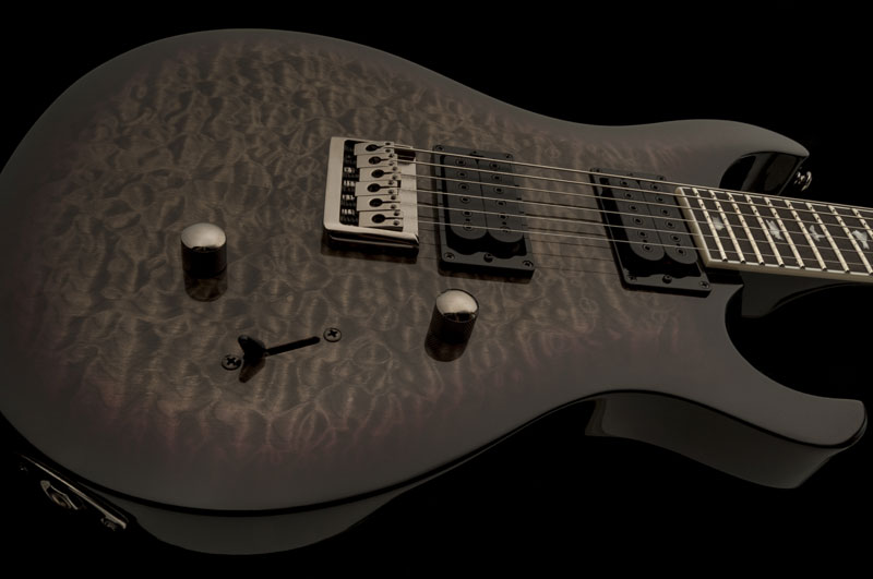 Paul Reed Smith (PRS) ポールリードスミス / SE Mark Holcomb