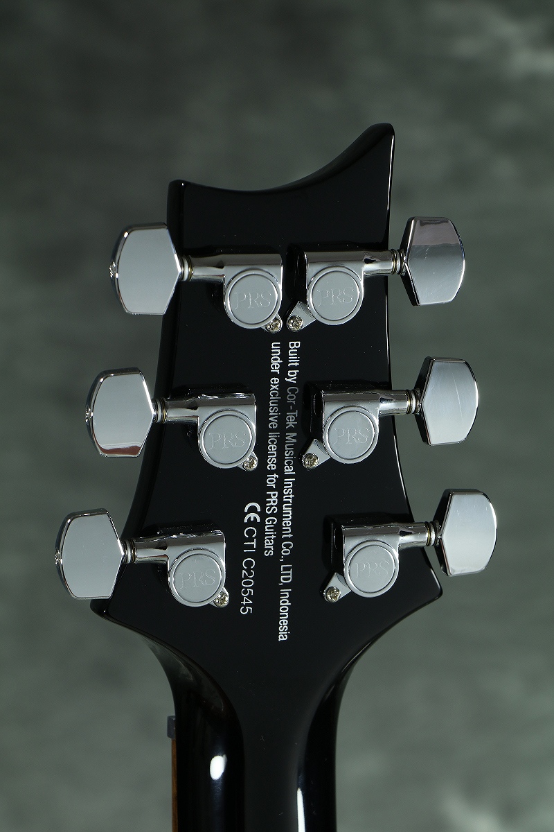 Paul Reed Smith (PRS) / SE Custom 24 Blue Matteo (BT) ポールリード