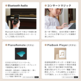 /ec/pic/product/4962864315514/4962864315514_10_s.jpg