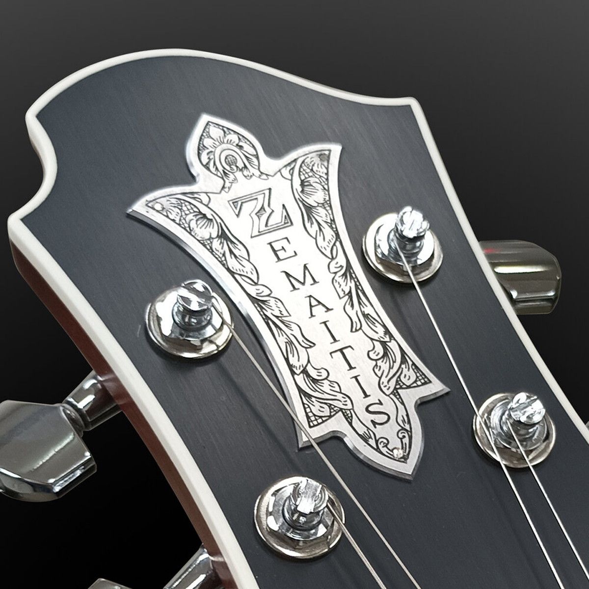 Zemaitis / The Portrait Metal Front Hisashi Signature Model