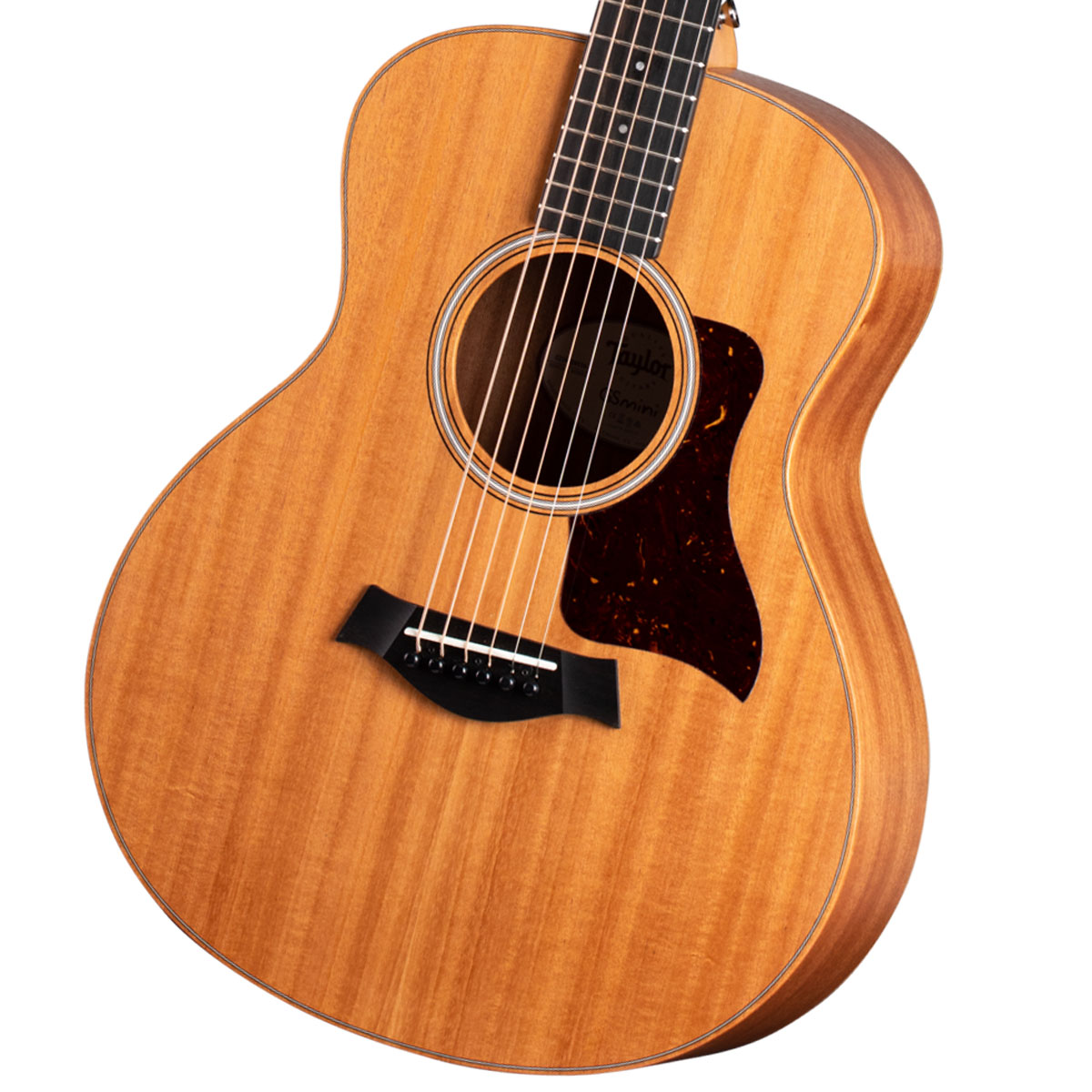 Taylor / GS Mini-e Mahogany テイラー アコースティックギター