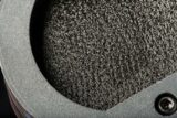 /ec/pic/product/551869500shieldset/551869500shieldset_4_s.jpg