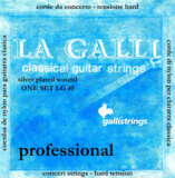 Gallistrings / LG40 Hard ϡɥƥ󥷥󡦥饷å ꥢ ڥʥ͡