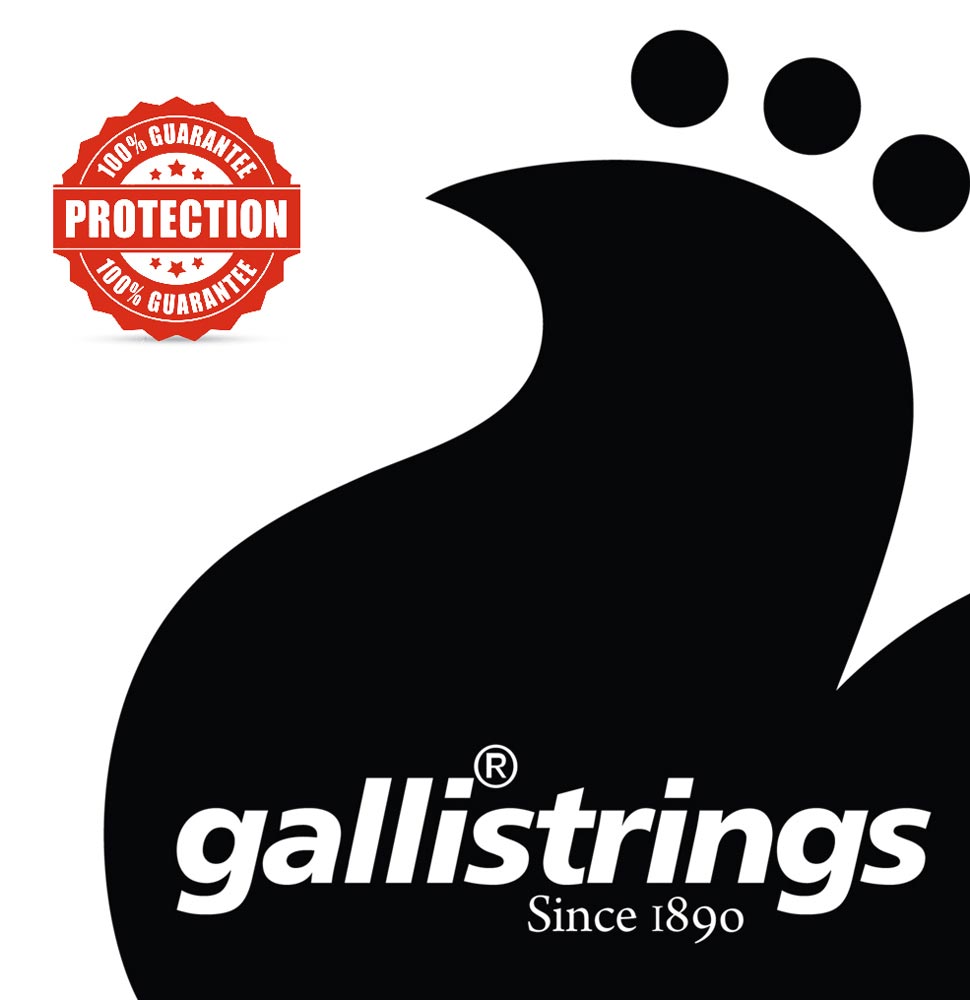 Gallistrings / AJF1047 Extra Light 80/20 Bronze アコースティックギター弦 .010-.047【イタリア製】  | イシバシ楽器