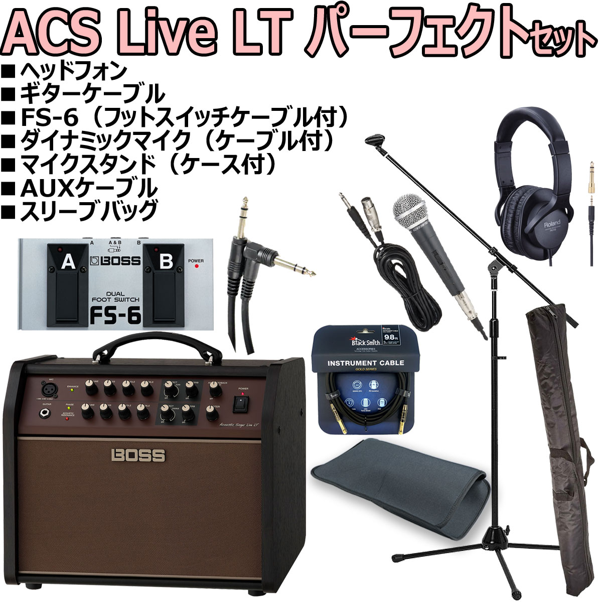 BOSS Acoustic Singer Live LT Demonstration 