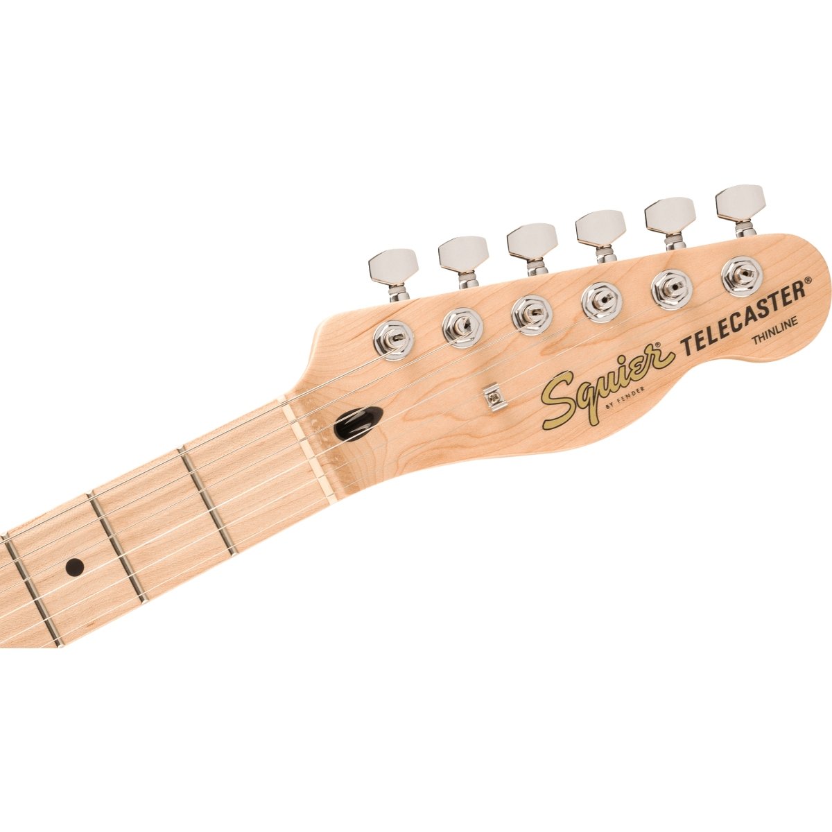 Squier by Fender / Affinity Series Telecaster Thinline Maple