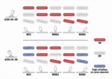 /ec/pic/product/azes31vm-egrg/azes31vm-egrg_13_s.jpg