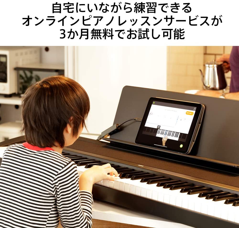 KORG コルグ / B2-BK (ブラック)【限定特典：純正ダストカバー、クロス