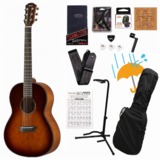 /ec/pic/product/csf1mtbs-agra/csf1mtbs-agra_1_s.jpg