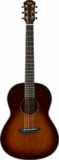 /ec/pic/product/csf1mtbs-agra/csf1mtbs-agra_7_s.jpg