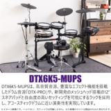 /ec/pic/product/dtx65s-dm134/dtx65s-dm134_2_s.jpg