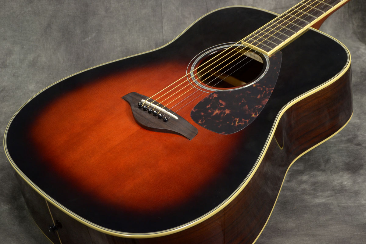Amazon.com: Yamaha FG830 Solid Top Folk Guitar, Natural