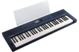Roland  / GOKEYS3-MU (GO:KEYS 3) ߥåɥʥȥ֥롼 [Ω MRGKS3/5 å] Digital Keyboard