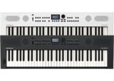 /ec/pic/product/gokeys5whstart/gokeys5whstart_15_s.jpg