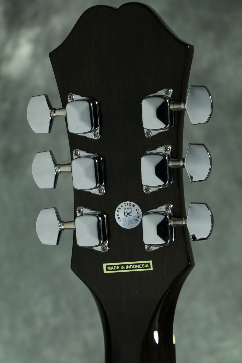 EPIPHONE BY GIBSON / J-15 EC NA (AJ-100CE)アコギ入門豪華12点