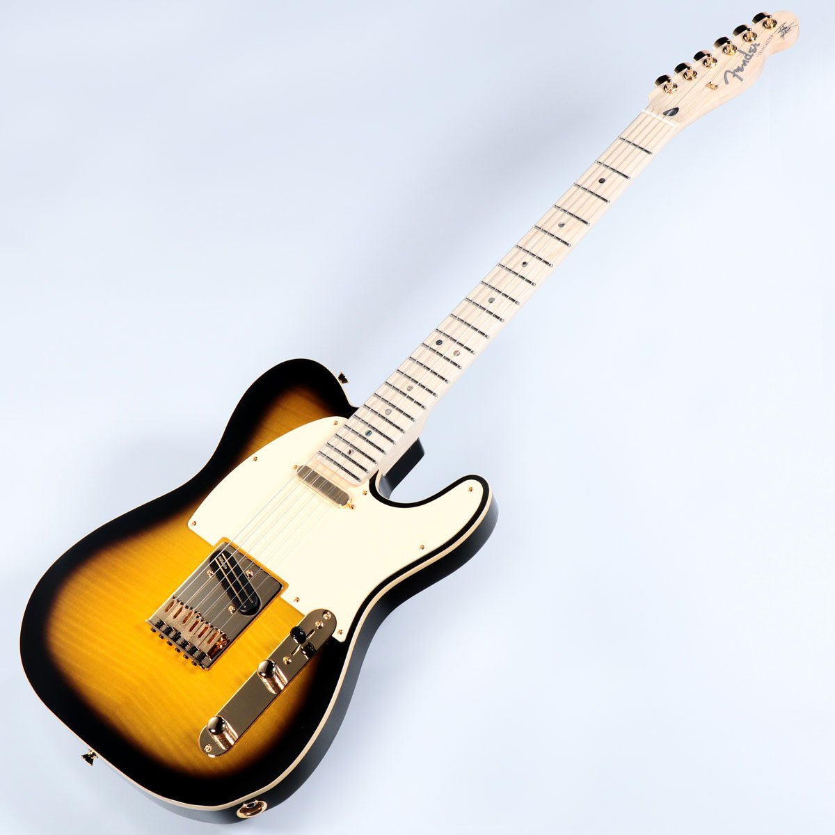 Fender / Japan Exclusive Richie Kotzen Telecaster Brown