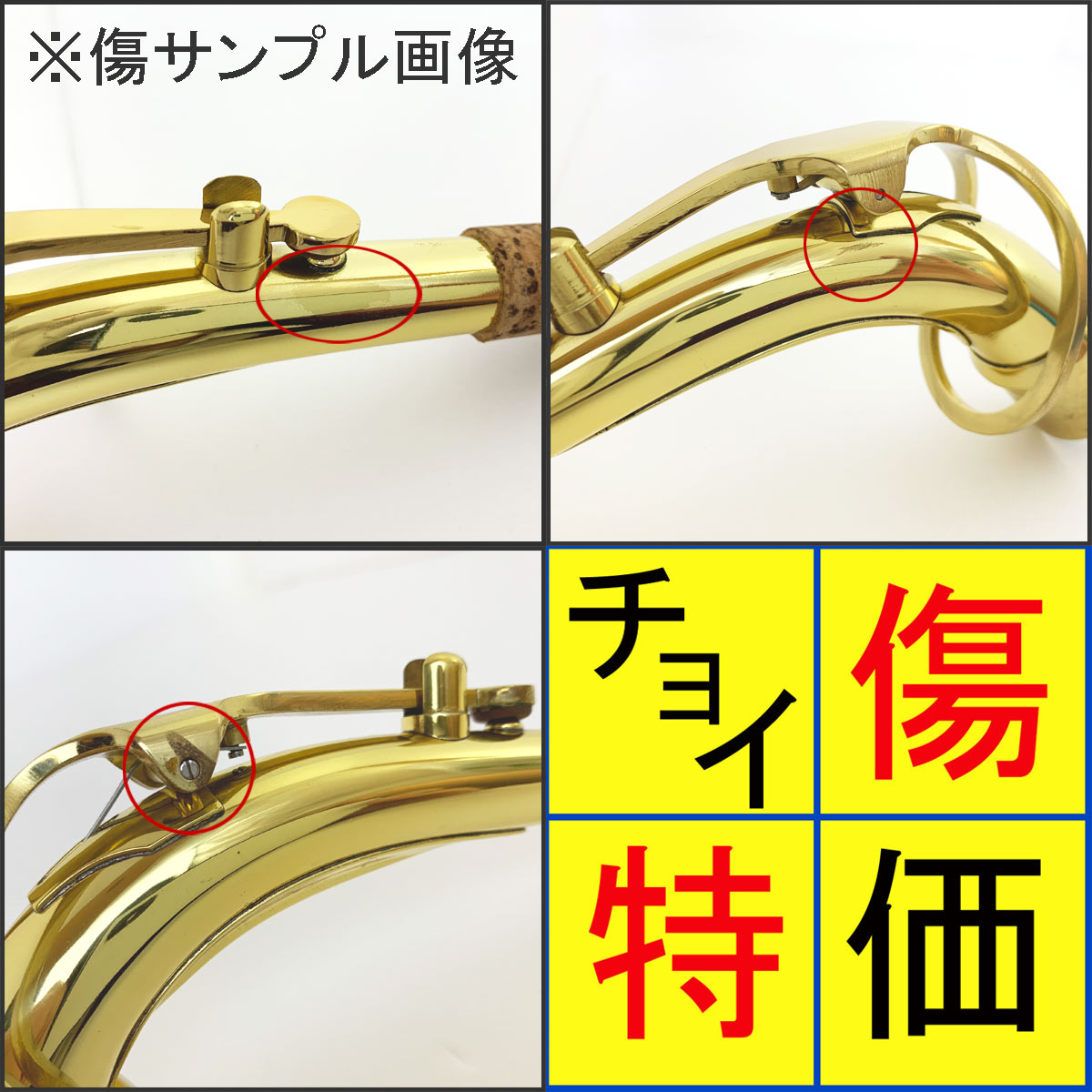 SELVA (セルバ) 初心者向けアルトサックス入門セット ALTOSAX SAS