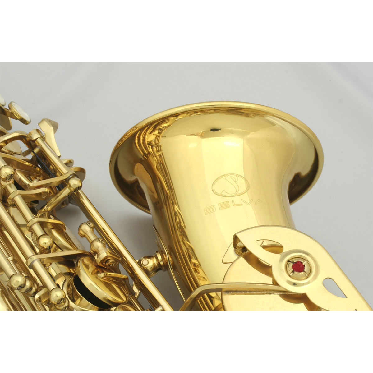SELVA / 初心者向けアルトサックス入門セット Alto Sax SAS-100
