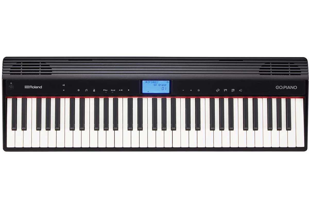 Roland ローランド GO:PIANO GO-61P 61鍵　専用ケース付き Amazon | Roland GO-61P 61鍵盤 純正ケースセット ローランド