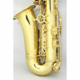 SELVA (セルバ) 初心者向けアルトサックス入門セット ALTOSAX SAS-100